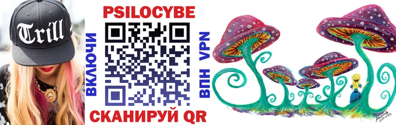 shop формула  Карабулак  МЕГА зеркало  Псилоцибиновые грибы Psilocybine cubensis  что такое  