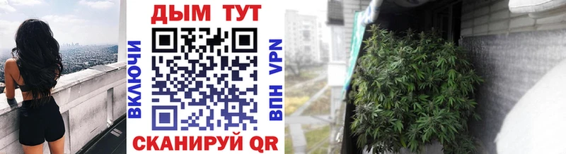 Каннабис ГИДРОПОН  Карабулак 